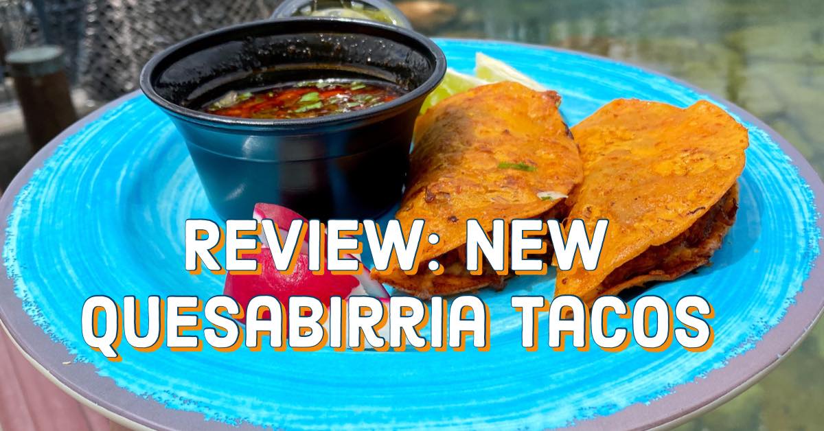 Review: New QuesaBirria Tacos - Food at Disneyland